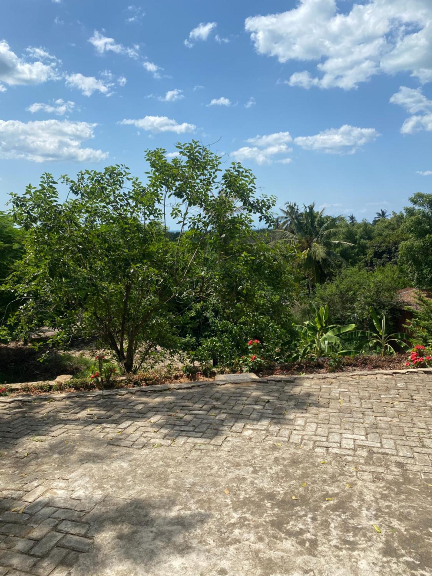 Mikoko Beach & Cottages บากาโมโย ภายนอก รูปภาพ