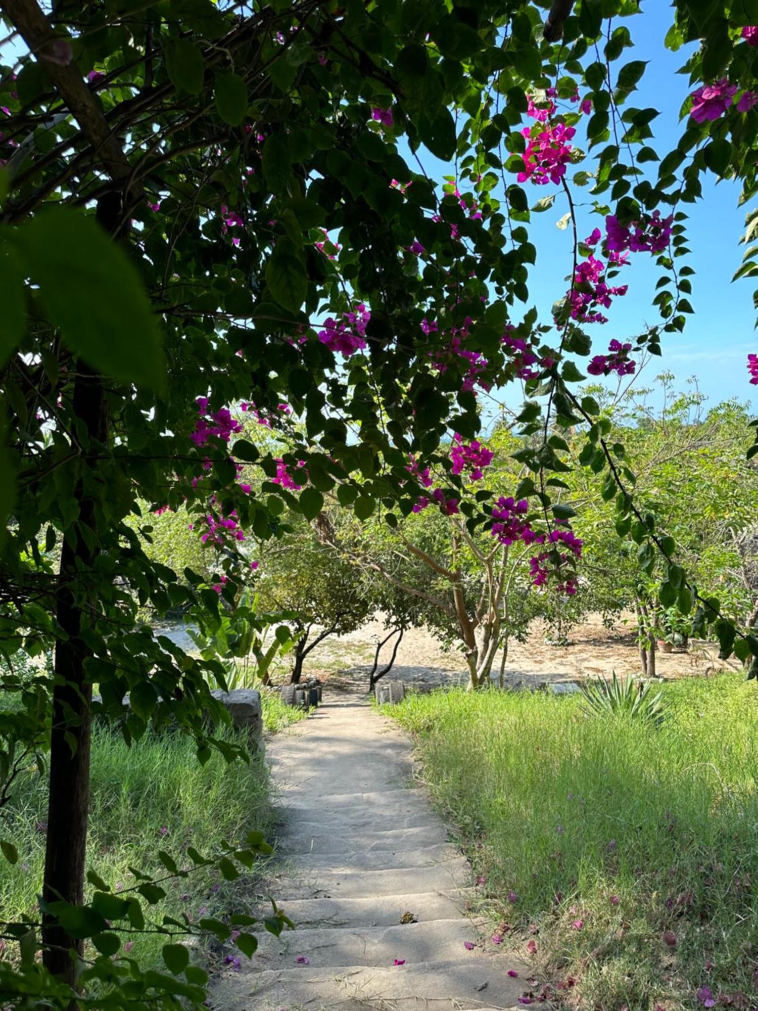 Mikoko Beach & Cottages บากาโมโย ภายนอก รูปภาพ
